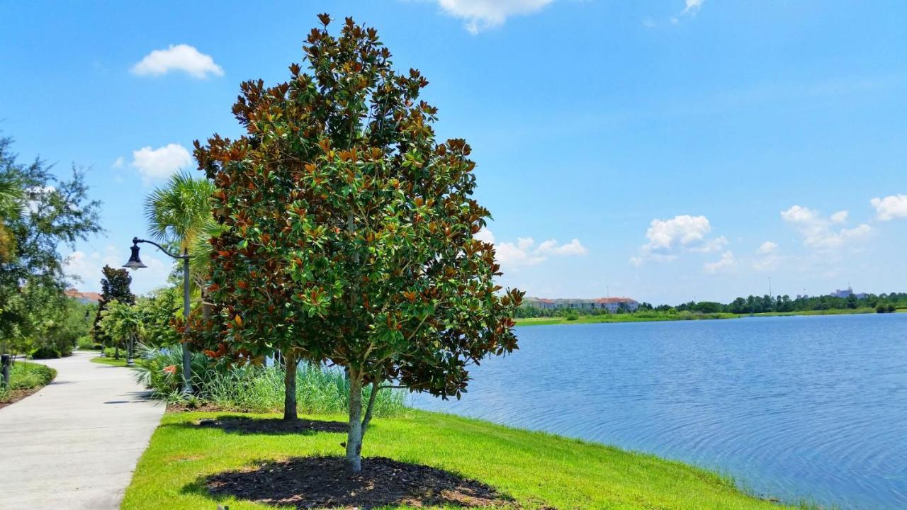 4814 Cayview Avenue #401 Apartment Orlando Luaran gambar